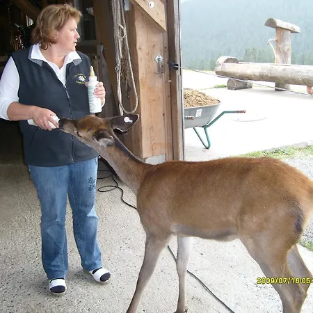 Farm stay Mueller Jungholz