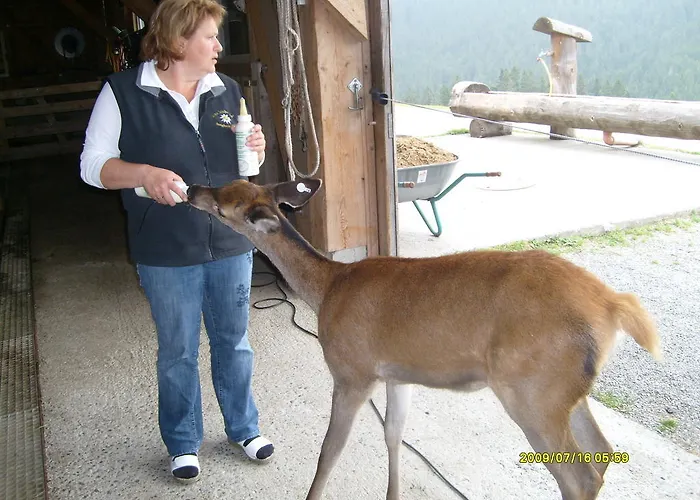 Alloggio per agriturismo Mueller Jungholz