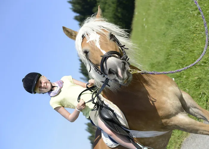 Alloggio per agriturismo Mueller